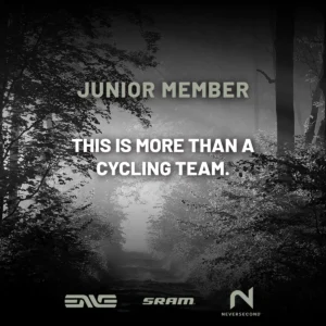 Junior Team Member